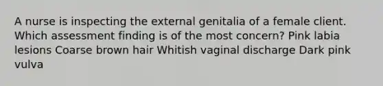 A nurse is inspecting the external genitalia of a female client. Which assessment finding is of the most concern? Pink labia lesions Coarse brown hair Whitish vaginal discharge Dark pink vulva