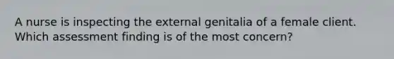 A nurse is inspecting the external genitalia of a female client. Which assessment finding is of the most concern?