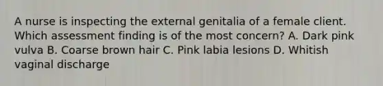 A nurse is inspecting the external genitalia of a female client. Which assessment finding is of the most concern? A. Dark pink vulva B. Coarse brown hair C. Pink labia lesions D. Whitish vaginal discharge