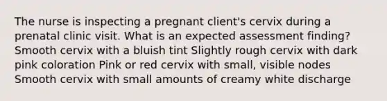 The nurse is inspecting a pregnant client's cervix during a prenatal clinic visit. What is an expected assessment finding? Smooth cervix with a bluish tint Slightly rough cervix with dark pink coloration Pink or red cervix with small, visible nodes Smooth cervix with small amounts of creamy white discharge