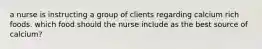 a nurse is instructing a group of clients regarding calcium rich foods. which food should the nurse include as the best source of calcium?