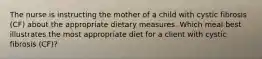 The nurse is instructing the mother of a child with cystic fibrosis (CF) about the appropriate dietary measures. Which meal best illustrates the most appropriate diet for a client with cystic fibrosis (CF)?