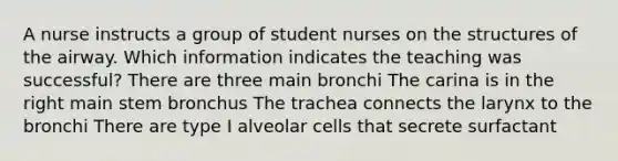 A nurse instructs a group of student nurses on the structures of the airway. Which information indicates the teaching was successful? There are three main bronchi The carina is in the right main stem bronchus The trachea connects the larynx to the bronchi There are type I alveolar cells that secrete surfactant