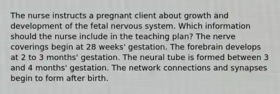 The nurse instructs a pregnant client about growth and development of the fetal nervous system. Which information should the nurse include in the teaching plan? The nerve coverings begin at 28 weeks' gestation. The forebrain develops at 2 to 3 months' gestation. The neural tube is formed between 3 and 4 months' gestation. The network connections and synapses begin to form after birth.