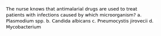 The nurse knows that antimalarial drugs are used to treat patients with infections caused by which microorganism? a. Plasmodium spp. b. Candida albicans c. Pneumocystis jirovecii d. Mycobacterium