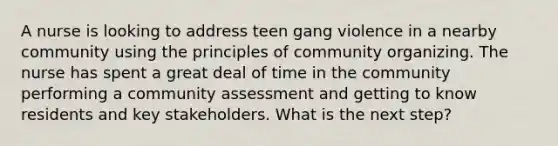 A nurse is looking to address teen gang violence in a nearby community using the principles of community organizing. The nurse has spent a great deal of time in the community performing a community assessment and getting to know residents and key stakeholders. What is the next step?