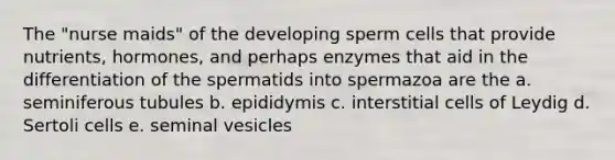 The "nurse maids" of the developing sperm cells that provide nutrients, hormones, and perhaps enzymes that aid in the differentiation of the spermatids into spermazoa are the a. seminiferous tubules b. epididymis c. interstitial cells of Leydig d. Sertoli cells e. seminal vesicles