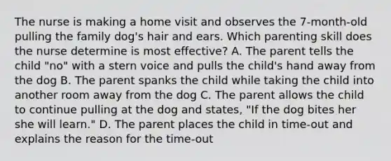 The nurse is making a home visit and observes the 7-month-old pulling the family dog's hair and ears. Which parenting skill does the nurse determine is most effective? A. The parent tells the child "no" with a stern voice and pulls the child's hand away from the dog B. The parent spanks the child while taking the child into another room away from the dog C. The parent allows the child to continue pulling at the dog and states, "If the dog bites her she will learn." D. The parent places the child in time-out and explains the reason for the time-out