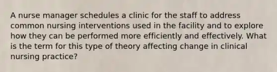 A nurse manager schedules a clinic for the staff to address common nursing interventions used in the facility and to explore how they can be performed more efficiently and effectively. What is the term for this type of theory affecting change in clinical nursing practice?