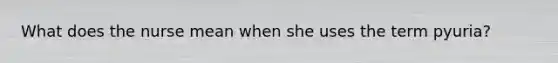 What does the nurse mean when she uses the term pyuria?