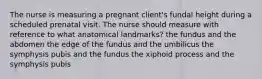 The nurse is measuring a pregnant client's fundal height during a scheduled prenatal visit. The nurse should measure with reference to what anatomical landmarks? the fundus and the abdomen the edge of the fundus and the umbilicus the symphysis pubis and the fundus the xiphoid process and the symphysis pubis