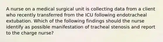 A nurse on a medical surgical unit is collecting data from a client who recently transferred from the ICU following endotracheal extubation. Which of the following findings should the nurse identify as possible manifestation of tracheal stenosis and report to the charge nurse?