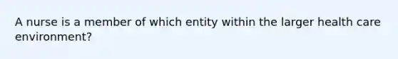 A nurse is a member of which entity within the larger health care environment?