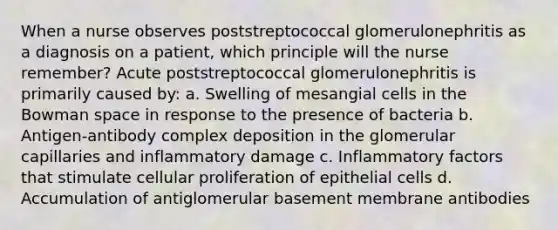 When a nurse observes poststreptococcal glomerulonephritis as a diagnosis on a patient, which principle will the nurse remember? Acute poststreptococcal glomerulonephritis is primarily caused by: a. Swelling of mesangial cells in the Bowman space in response to the presence of bacteria b. Antigen-antibody complex deposition in the glomerular capillaries and inflammatory damage c. Inflammatory factors that stimulate cellular proliferation of epithelial cells d. Accumulation of antiglomerular basement membrane antibodies