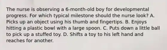 The nurse is observing a 6-month-old boy for developmental progress. For which typical milestone should the nurse look? A. Picks up an object using his thumb and fingertips. B. Enjoys hitting a plastic bowl with a large spoon. C. Puts down a little ball to pick up a stuffed toy. D. Shifts a toy to his left hand and reaches for another.