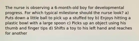 The nurse is observing a 6-month-old boy for developmental progress. For which typical milestone should the nurse look? a) Puts down a little ball to pick up a stuffed toy b) Enjoys hitting a plastic bowl with a large spoon c) Picks up an object using his thumb and finger tips d) Shifts a toy to his left hand and reaches for another