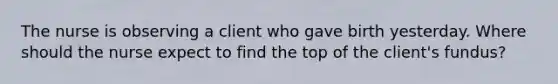 The nurse is observing a client who gave birth yesterday. Where should the nurse expect to find the top of the client's fundus?
