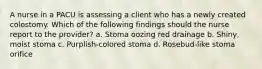 A nurse in a PACU is assessing a client who has a newly created colostomy. Which of the following findings should the nurse report to the provider? a. Stoma oozing red drainage b. Shiny, moist stoma c. Purplish-colored stoma d. Rosebud-like stoma orifice