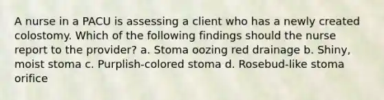 A nurse in a PACU is assessing a client who has a newly created colostomy. Which of the following findings should the nurse report to the provider? a. Stoma oozing red drainage b. Shiny, moist stoma c. Purplish-colored stoma d. Rosebud-like stoma orifice