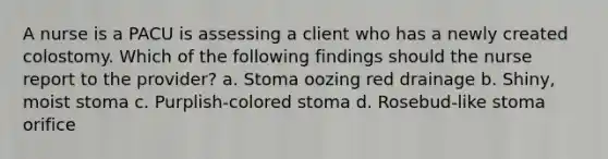 A nurse is a PACU is assessing a client who has a newly created colostomy. Which of the following findings should the nurse report to the provider? a. Stoma oozing red drainage b. Shiny, moist stoma c. Purplish-colored stoma d. Rosebud-like stoma orifice