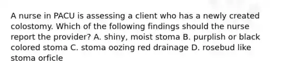 A nurse in PACU is assessing a client who has a newly created colostomy. Which of the following findings should the nurse report the provider? A. shiny, moist stoma B. purplish or black colored stoma C. stoma oozing red drainage D. rosebud like stoma orficle