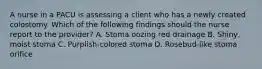 A nurse in a PACU is assessing a client who has a newly created colostomy. Which of the following findings should the nurse report to the provider? A. Stoma oozing red drainage B. Shiny, moist stoma C. Purplish-colored stoma D. Rosebud-like stoma orifice