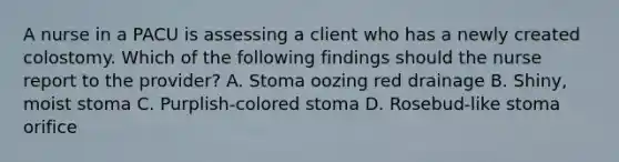 A nurse in a PACU is assessing a client who has a newly created colostomy. Which of the following findings should the nurse report to the provider? A. Stoma oozing red drainage B. Shiny, moist stoma C. Purplish-colored stoma D. Rosebud-like stoma orifice