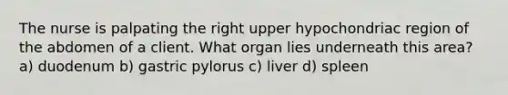 The nurse is palpating the right upper hypochondriac region of the abdomen of a client. What organ lies underneath this area? a) duodenum b) gastric pylorus c) liver d) spleen