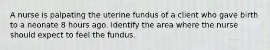 A nurse is palpating the uterine fundus of a client who gave birth to a neonate 8 hours ago. Identify the area where the nurse should expect to feel the fundus.