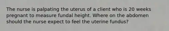 The nurse is palpating the uterus of a client who is 20 weeks pregnant to measure fundal height. Where on the abdomen should the nurse expect to feel the uterine fundus?