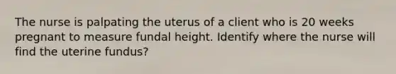 The nurse is palpating the uterus of a client who is 20 weeks pregnant to measure fundal height. Identify where the nurse will find the uterine fundus?