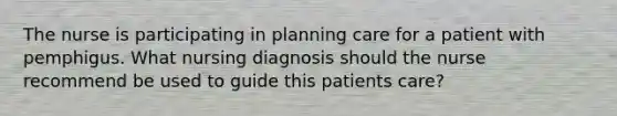 The nurse is participating in planning care for a patient with pemphigus. What nursing diagnosis should the nurse recommend be used to guide this patients care?