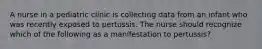 A nurse in a pediatric clinic is collecting data from an infant who was recently exposed to pertussis. The nurse should recognize which of the following as a manifestation to pertussis?