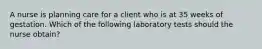 A nurse is planning care for a client who is at 35 weeks of gestation. Which of the following laboratory tests should the nurse obtain?