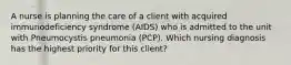 A nurse is planning the care of a client with acquired immunodeficiency syndrome (AIDS) who is admitted to the unit with Pneumocystis pneumonia (PCP). Which nursing diagnosis has the highest priority for this client?