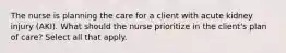 The nurse is planning the care for a client with acute kidney injury (AKI). What should the nurse prioritize in the client's plan of care? Select all that apply.