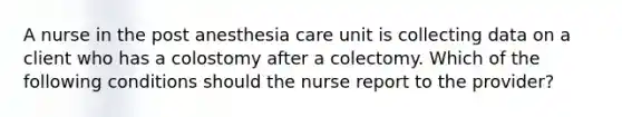 A nurse in the post anesthesia care unit is collecting data on a client who has a colostomy after a colectomy. Which of the following conditions should the nurse report to the provider?