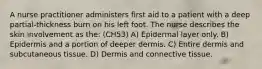 A nurse practitioner administers first aid to a patient with a deep partial-thickness burn on his left foot. The nurse describes the skin involvement as the: (CH53) A) Epidermal layer only. B) Epidermis and a portion of deeper dermis. C) Entire dermis and subcutaneous tissue. D) Dermis and connective tissue.