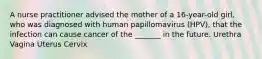 A nurse practitioner advised the mother of a 16-year-old girl, who was diagnosed with human papillomavirus (HPV), that the infection can cause cancer of the _______ in the future. Urethra Vagina Uterus Cervix