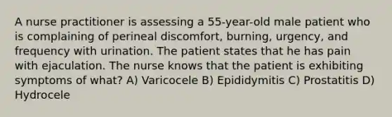 A nurse practitioner is assessing a 55-year-old male patient who is complaining of perineal discomfort, burning, urgency, and frequency with urination. The patient states that he has pain with ejaculation. The nurse knows that the patient is exhibiting symptoms of what? A) Varicocele B) Epididymitis C) Prostatitis D) Hydrocele