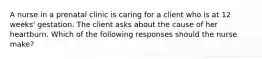 A nurse in a prenatal clinic is caring for a client who is at 12 weeks' gestation. The client asks about the cause of her heartburn. Which of the following responses should the nurse make?