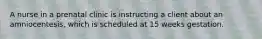 A nurse in a prenatal clinic is instructing a client about an amniocentesis, which is scheduled at 15 weeks gestation.