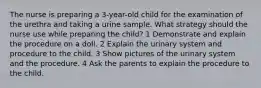 The nurse is preparing a 3-year-old child for the examination of the urethra and taking a urine sample. What strategy should the nurse use while preparing the child? 1 Demonstrate and explain the procedure on a doll. 2 Explain the urinary system and procedure to the child. 3 Show pictures of the urinary system and the procedure. 4 Ask the parents to explain the procedure to the child.