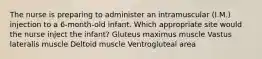 The nurse is preparing to administer an intramuscular (I.M.) injection to a 6-month-old infant. Which appropriate site would the nurse inject the infant? Gluteus maximus muscle Vastus lateralis muscle Deltoid muscle Ventrogluteal area