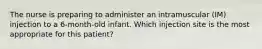 The nurse is preparing to administer an intramuscular (IM) injection to a 6-month-old infant. Which injection site is the most appropriate for this patient?