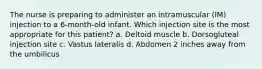 The nurse is preparing to administer an intramuscular (IM) injection to a 6-month-old infant. Which injection site is the most appropriate for this patient? a. Deltoid muscle b. Dorsogluteal injection site c. Vastus lateralis d. Abdomen 2 inches away from the umbilicus