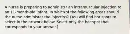 A nurse is preparing to administer an intramuscular injection to an 11-month-old infant. In which of the following areas should the nurse administer the injection? (You will find hot spots to select in the artwork below. Select only the hot spot that corresponds to your answer.)