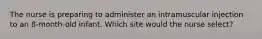 The nurse is preparing to administer an intramuscular injection to an 8-month-old infant. Which site would the nurse select?