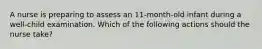 A nurse is preparing to assess an 11-month-old infant during a well-child examination. Which of the following actions should the nurse take?