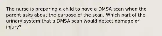 The nurse is preparing a child to have a DMSA scan when the parent asks about the purpose of the scan. Which part of the urinary system that a DMSA scan would detect damage or injury?